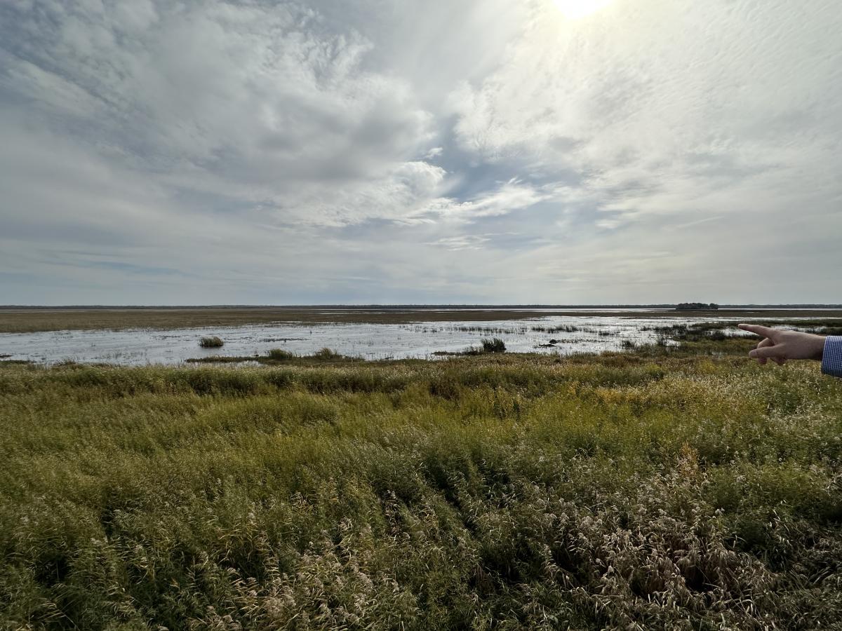 Hand pointing over wetland