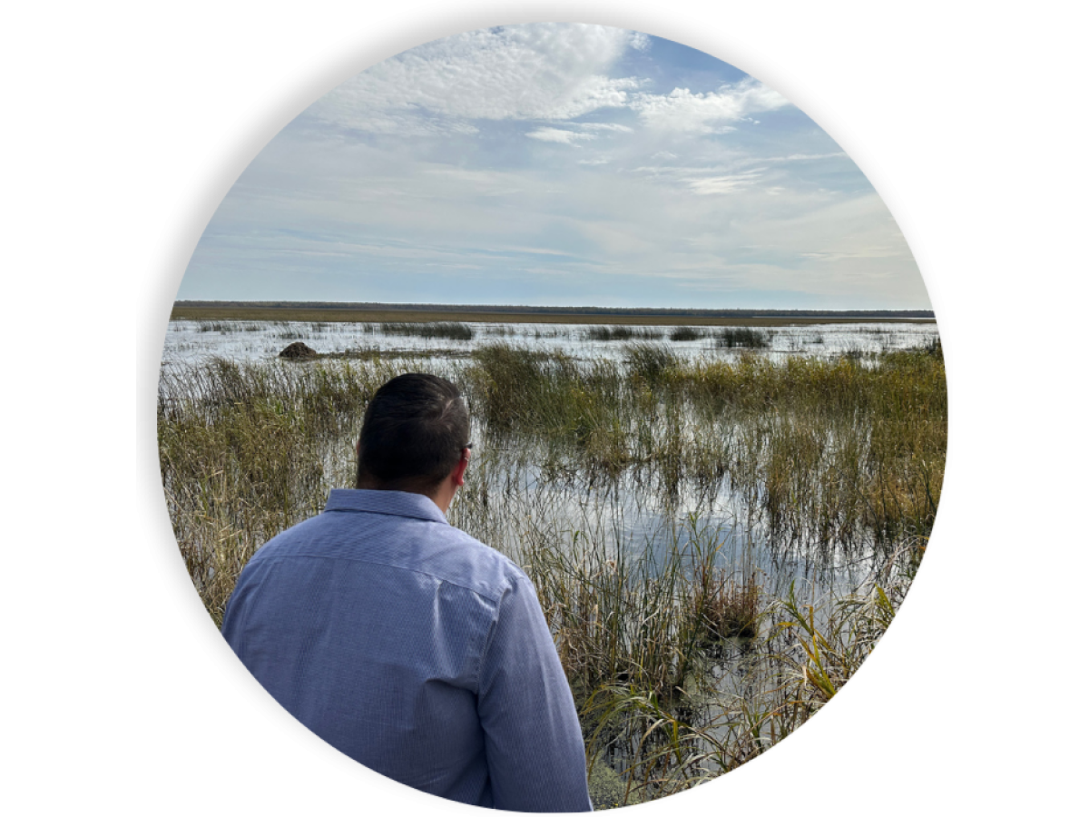 People look out over wetland