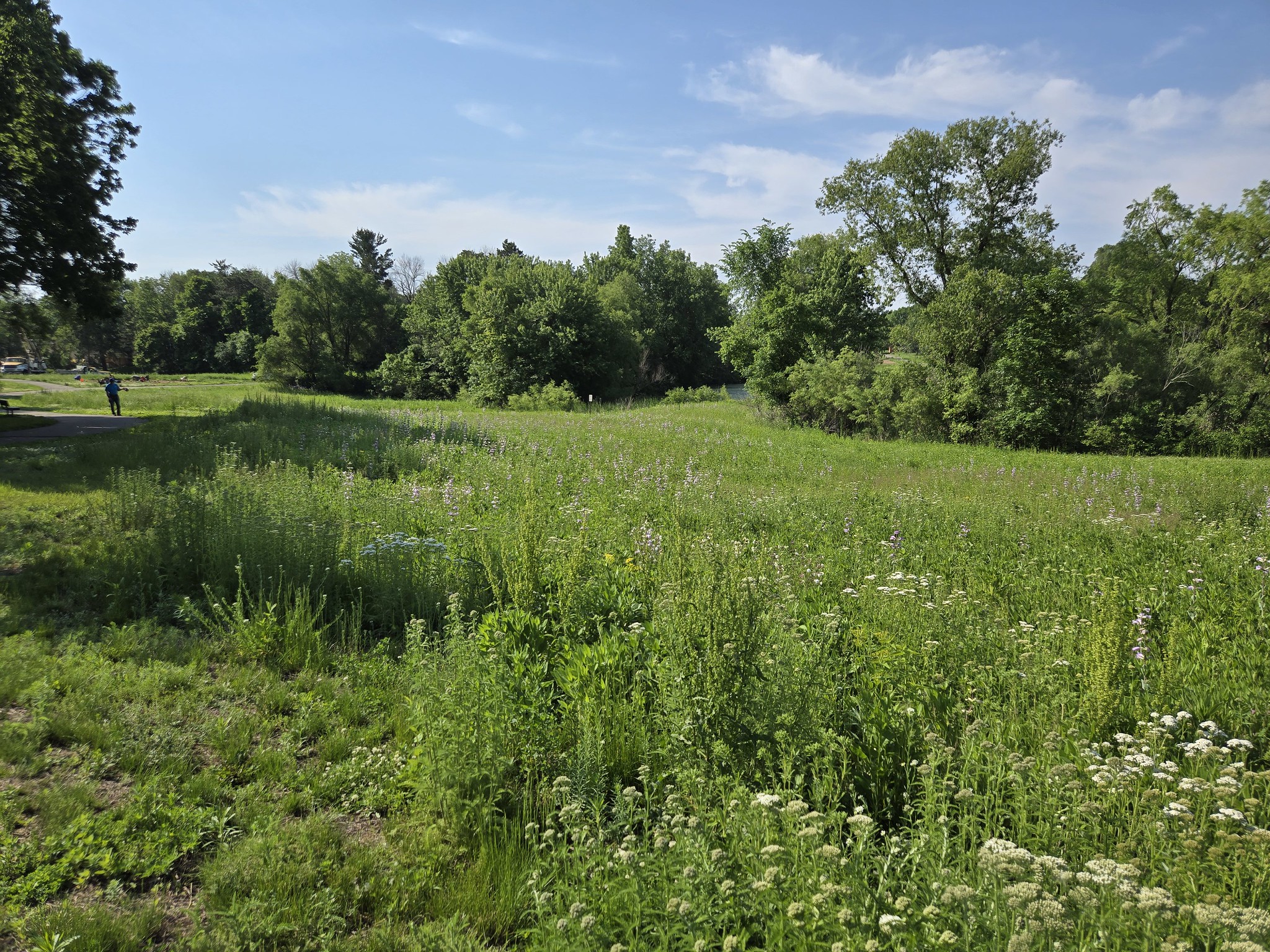 Southwest Park Ponding Basin greenspace