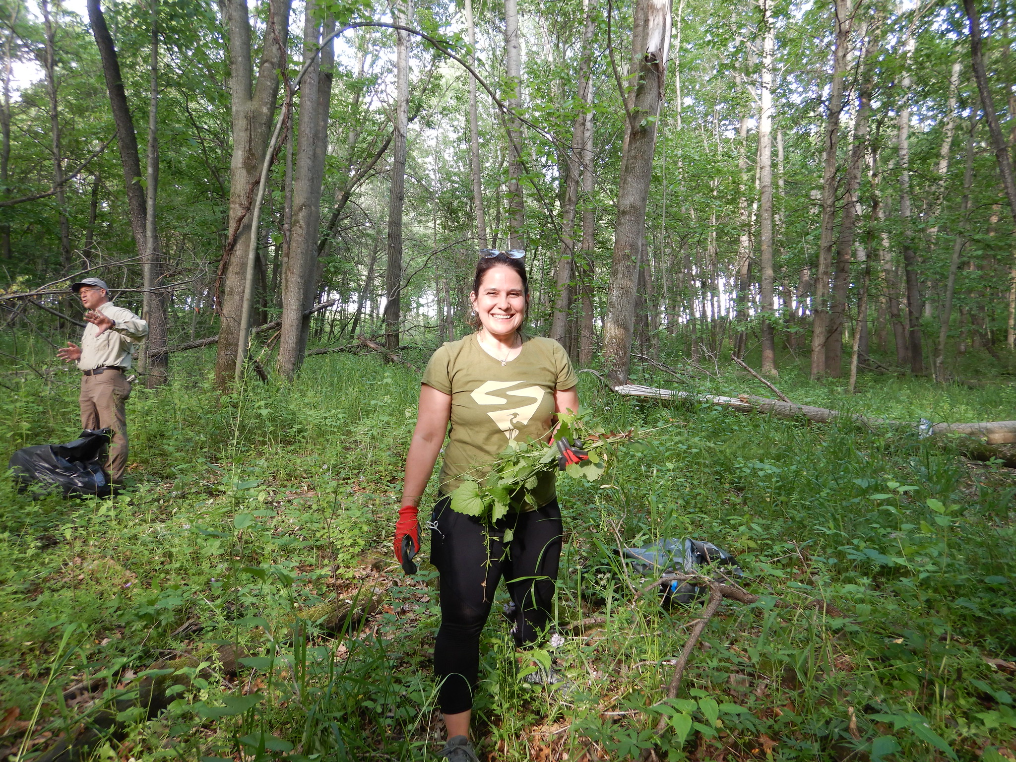 Volunteer with garlic mustard