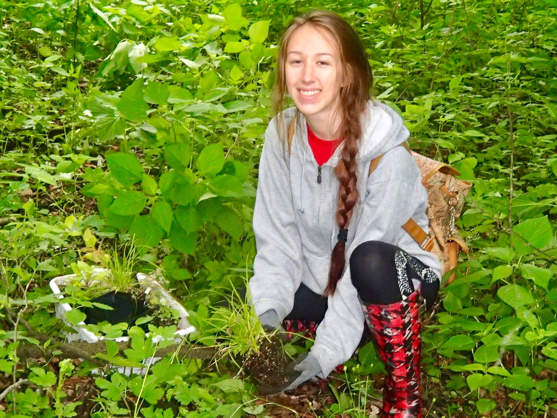 Planting volunteer in action