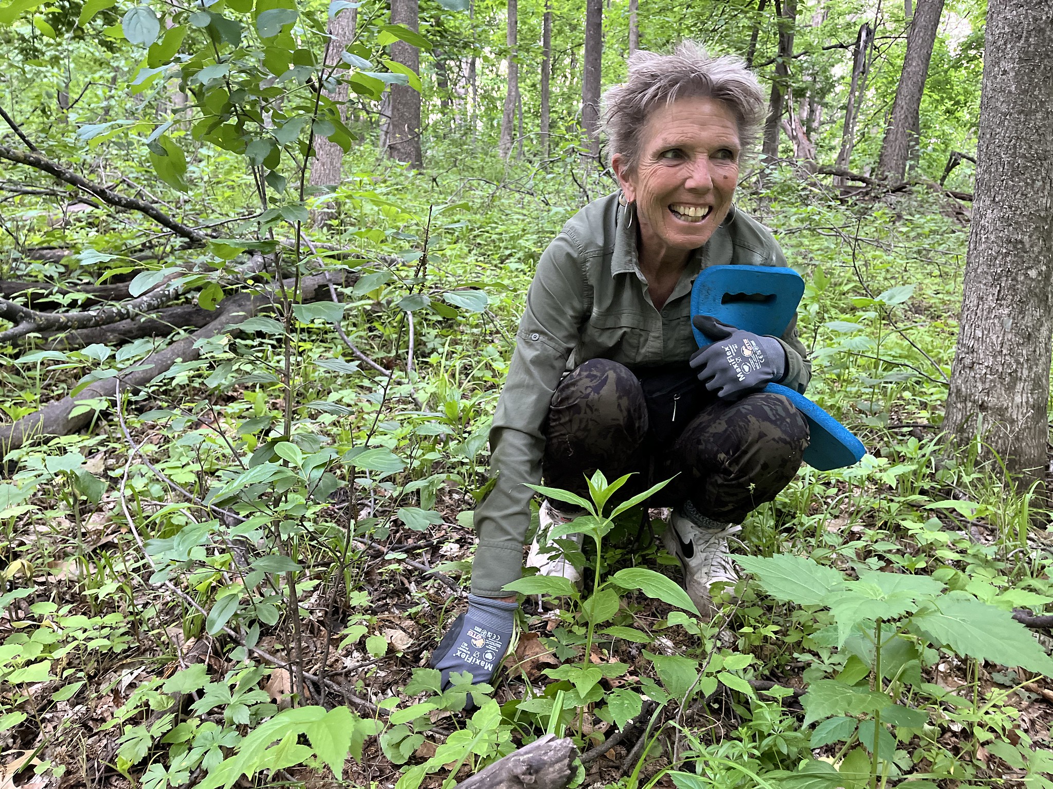 Volunteer pulls garlic mustard at Camel's Hump