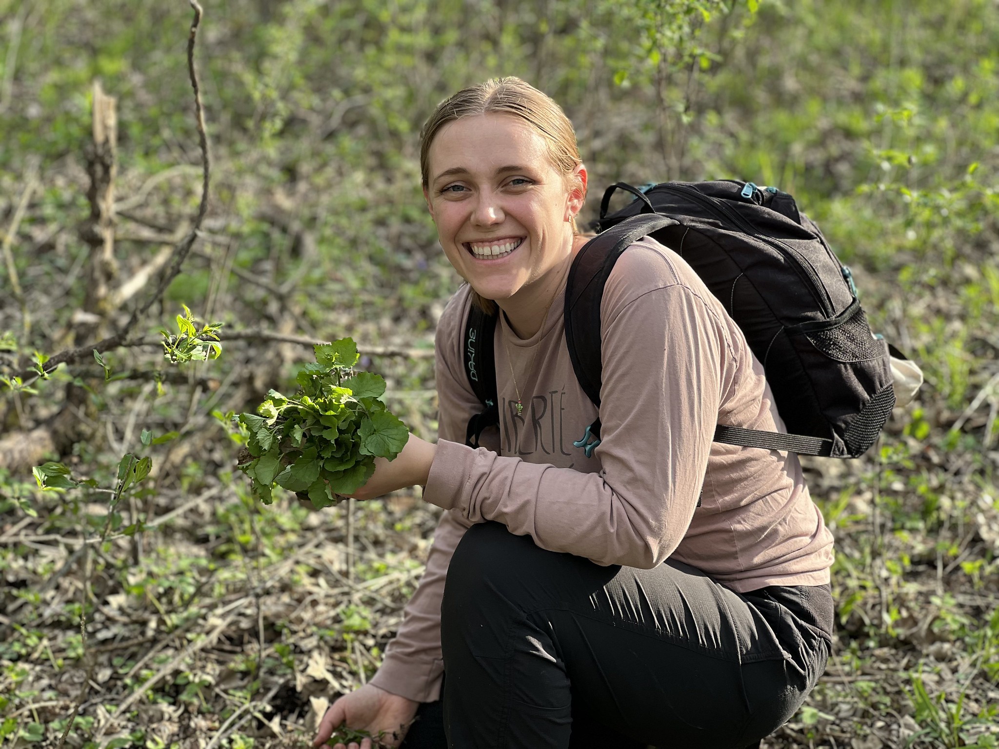 Volunteer pulls garlic mustard at Hastings Sand Coulee SNA