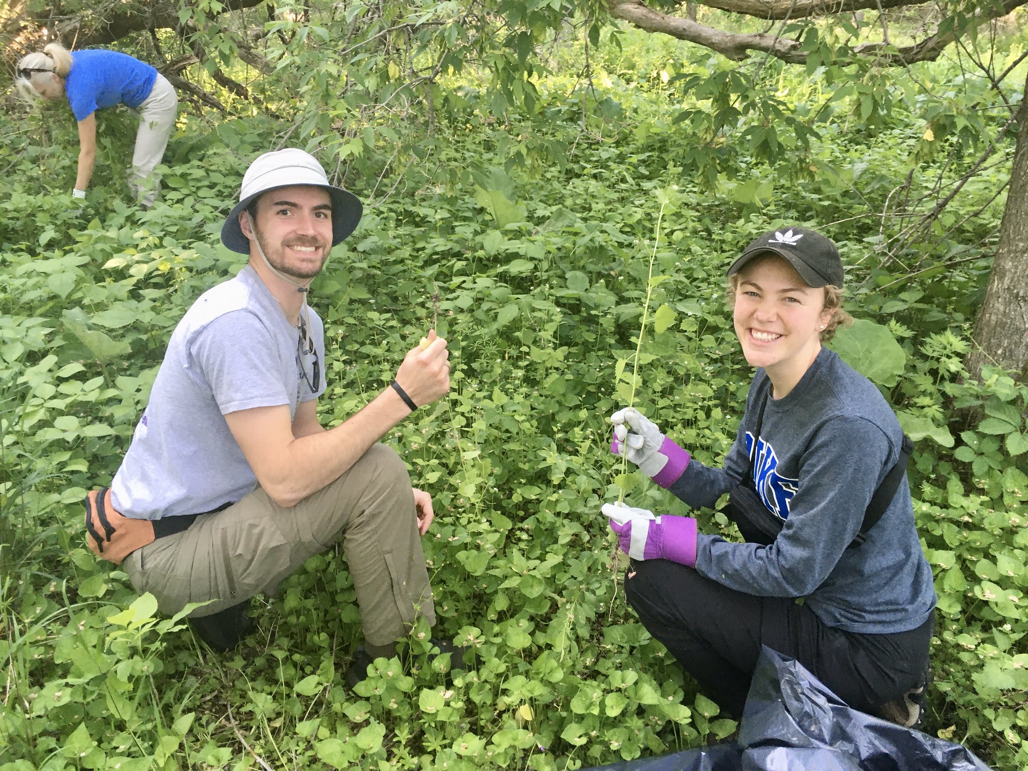 National Public Lands Day event: Collect native prairie seed at ...