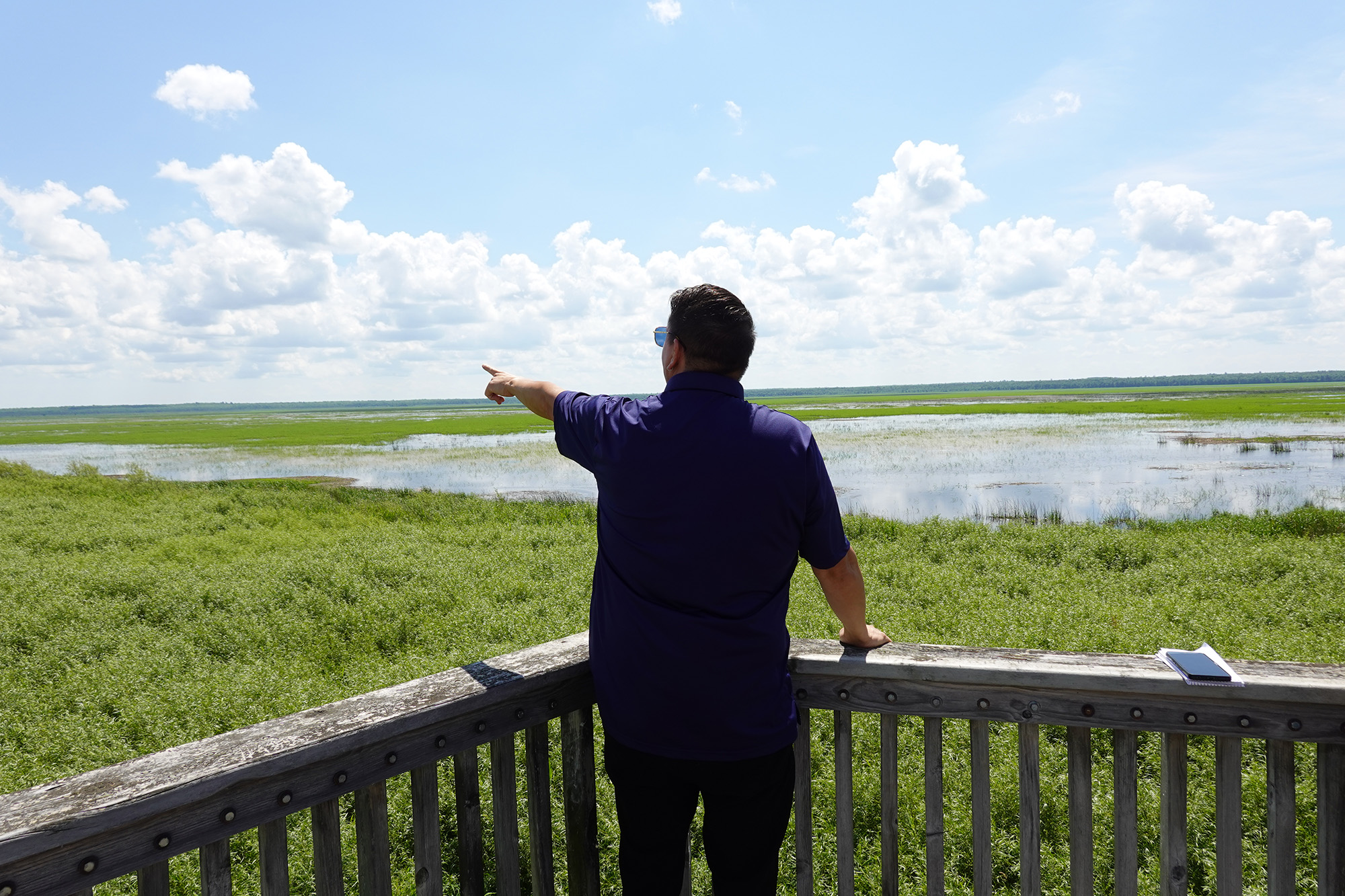 Person points toward wetland
