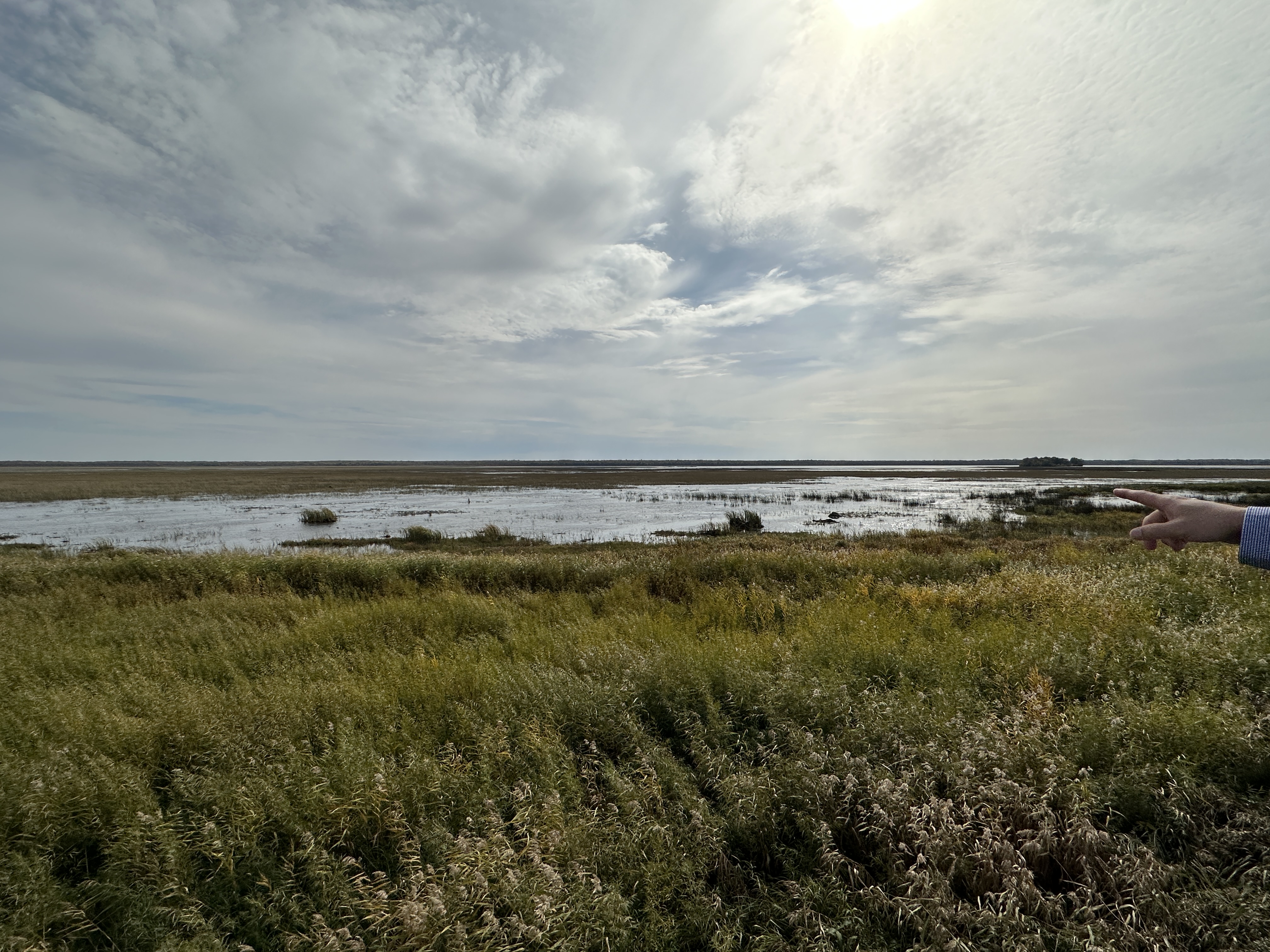 Hand pointing over wetland