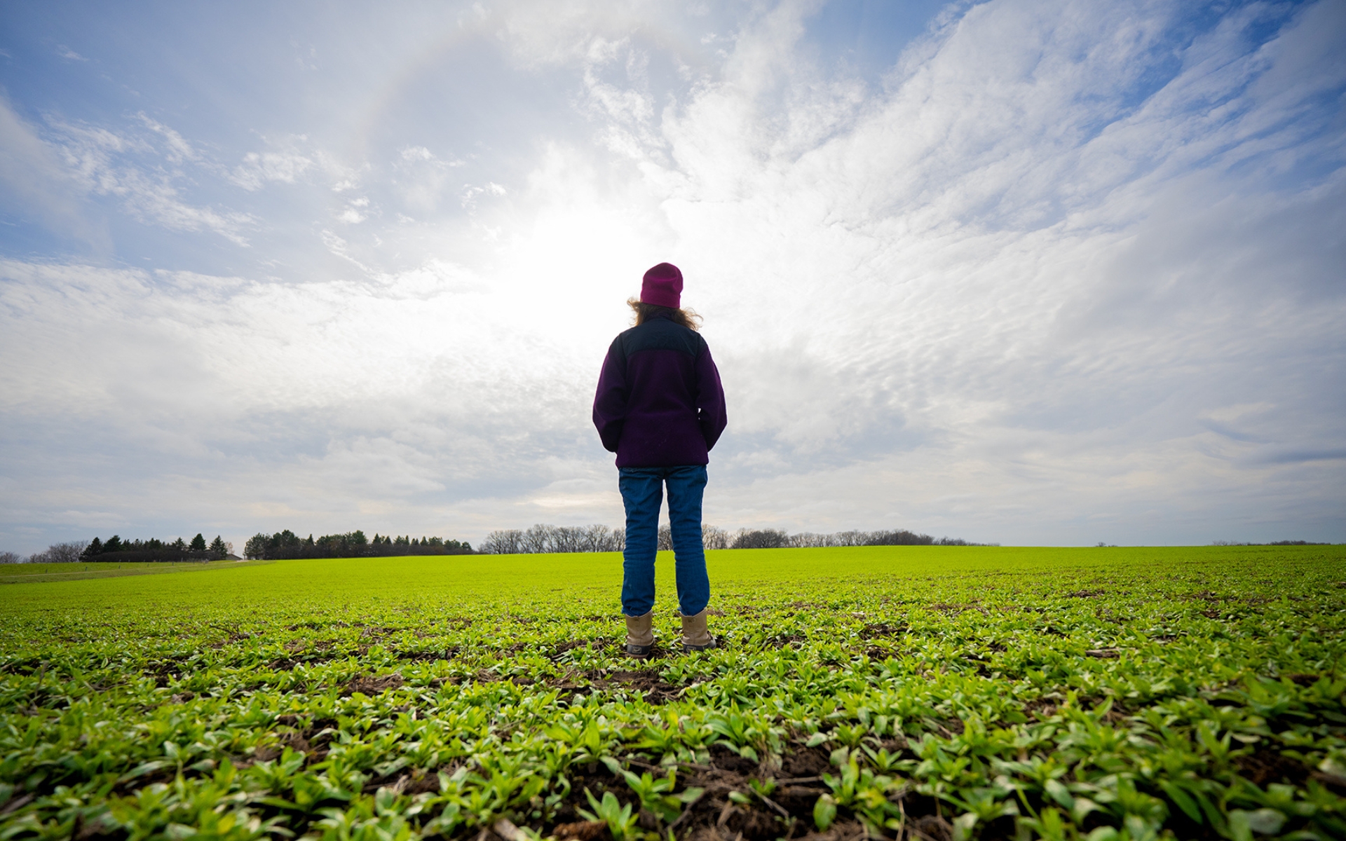 A farmer standing in a field of fall-growing winter-hardy camelina.