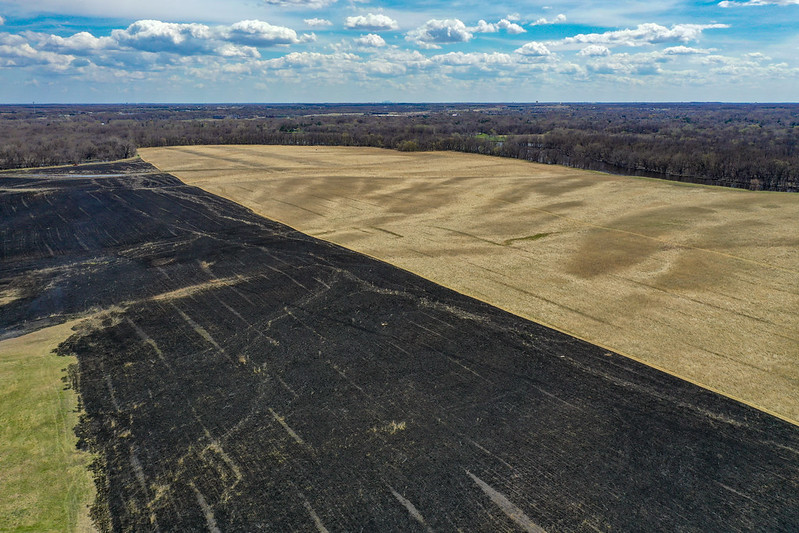  blackened acres and grasses