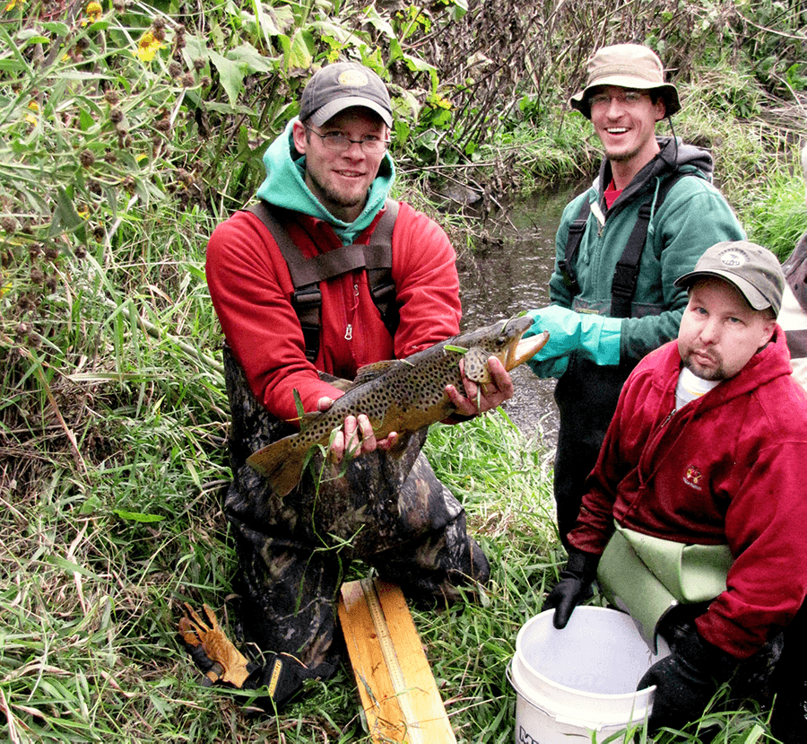 Brown trout with Vermillion Stewards volunteers in the Vermillion River.