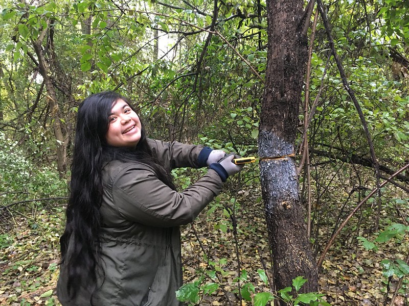 Volunteer Mary Metchnek smiles for the camera while sawing down buckthorn tree