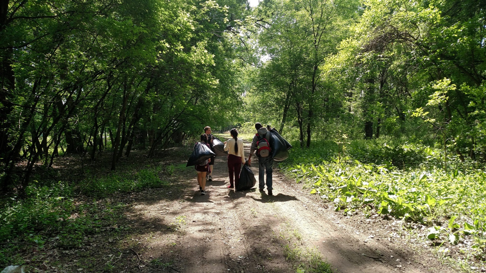 Willowbrook floodplain forest