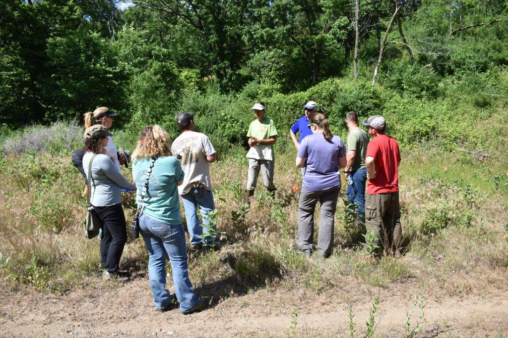 FHR volunteers learn how to identify monarch eggs and caterpillars