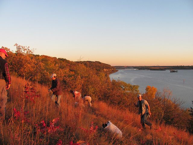 River Oaks Park glows red at a mid-October habitat restoration event