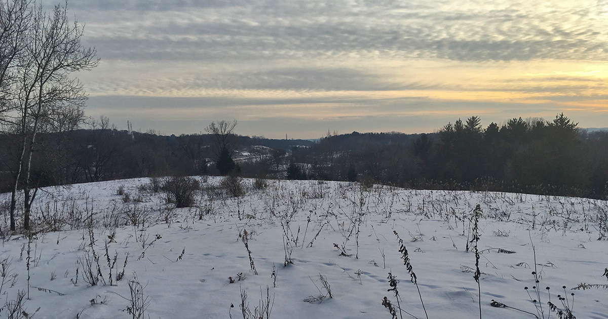 View of the valley at Carver Preserve