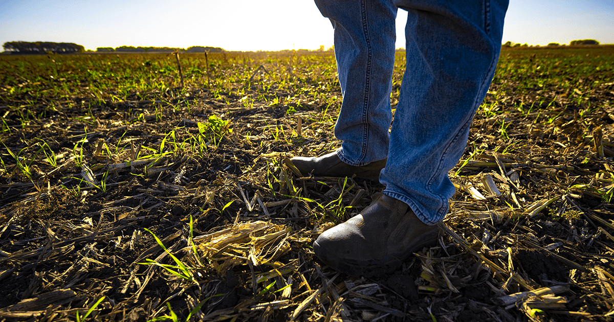 Who farms in MN? What the ag census tells us about MN agriculture