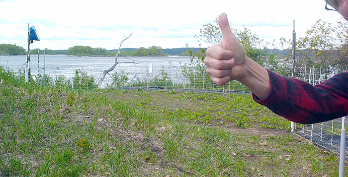 Thumbs up in the turtle enclosure