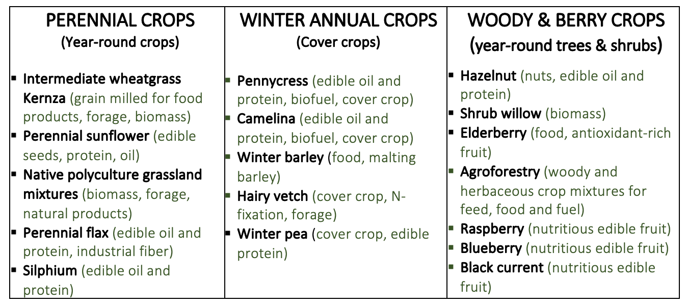 Potential new clean-water crops