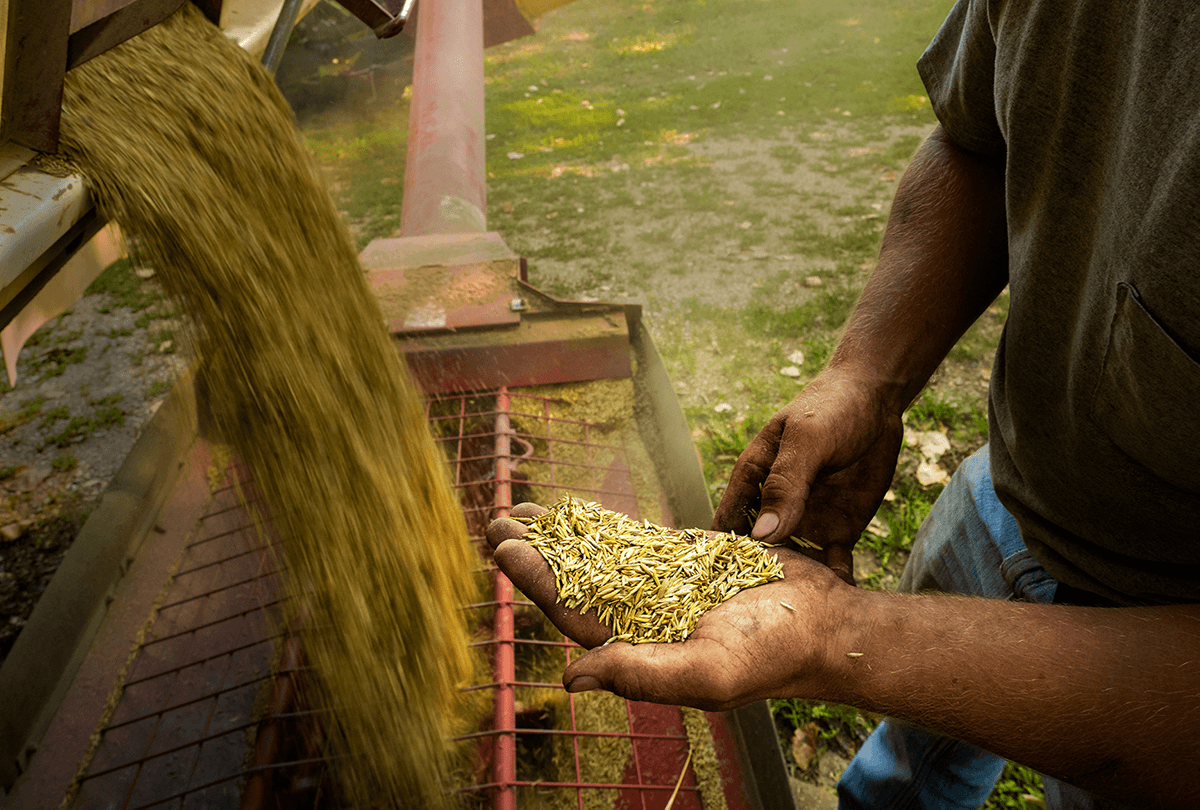  It s Really Really Exciting Clean water Crops Are On The Verge Of 