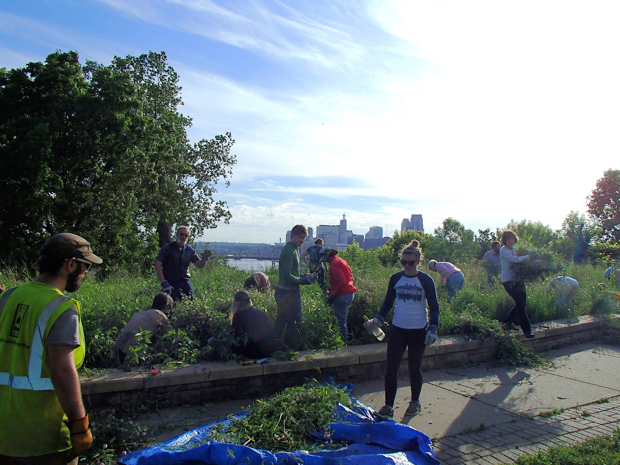 Native bluff prairie tending at Indian Mounds Park [FULL] Friends of the Mississippi River