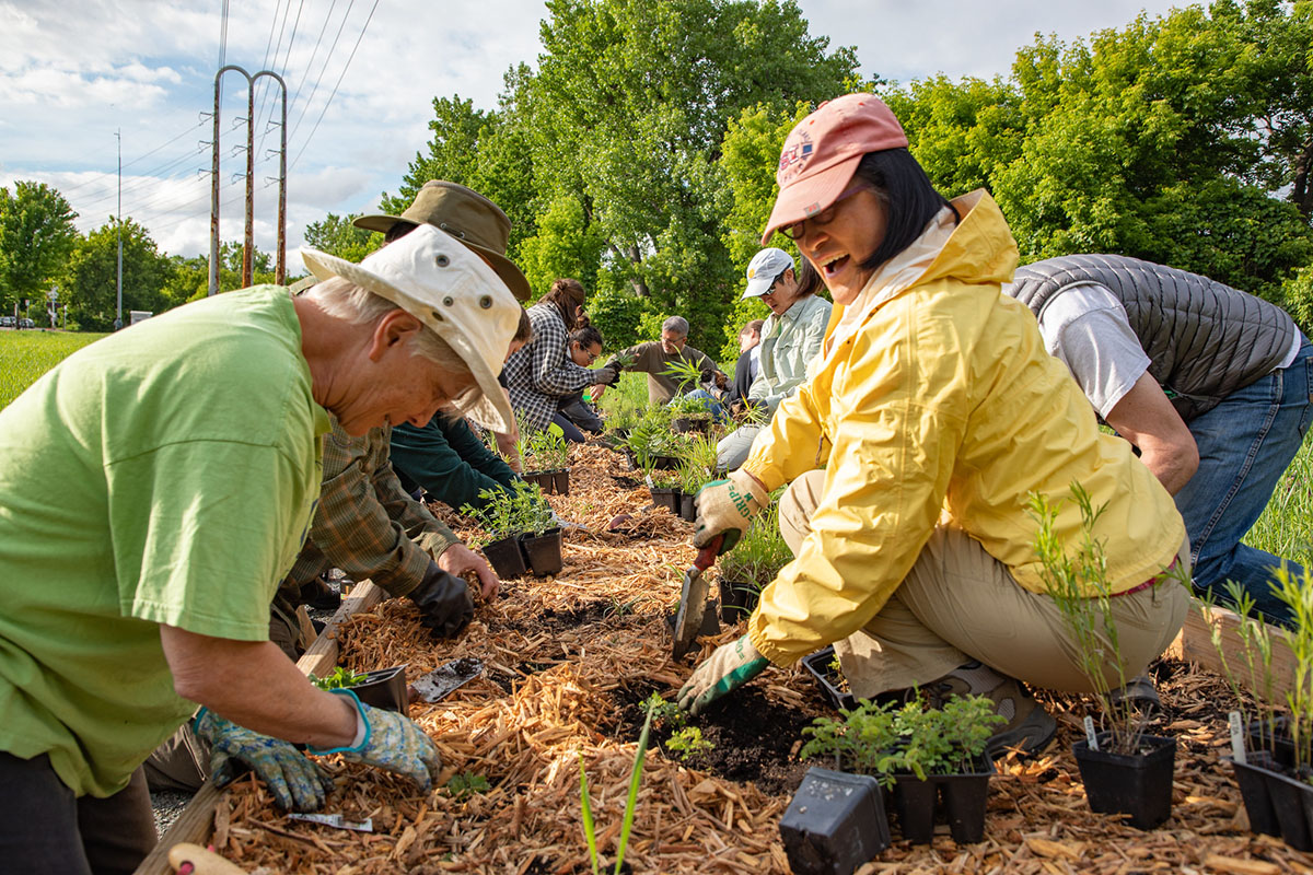 People planting in demo boxes