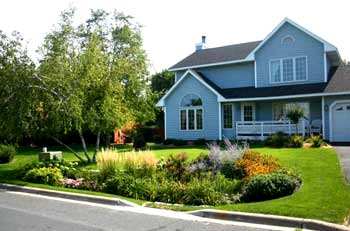 [Photo: Rain garden and curb.]