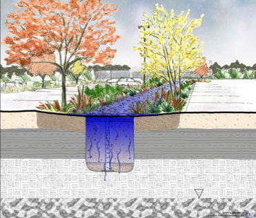 [Graphic: Diagram of a stormwater integrated management practice in a parking lot.]