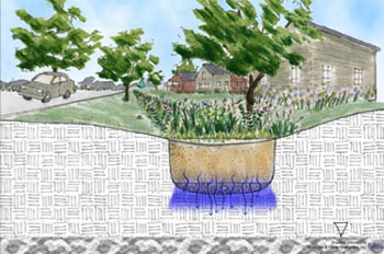 [Graphic: Diagram of a stormwater integrated management practice on a residential yard.]