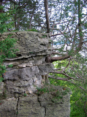 [Photo: Limestone bluffs at Schaars Bluff.]