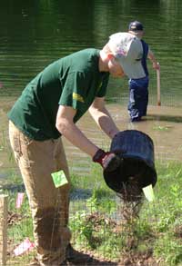 [Photo: A volunteer plants plants.]