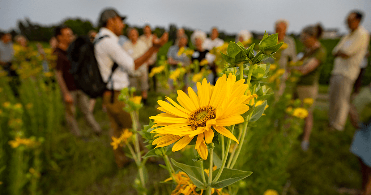 Field days provide a Forever Green respite from this dry summer