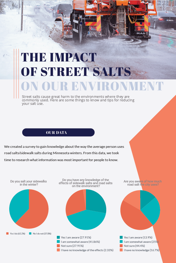 Street salt infographic