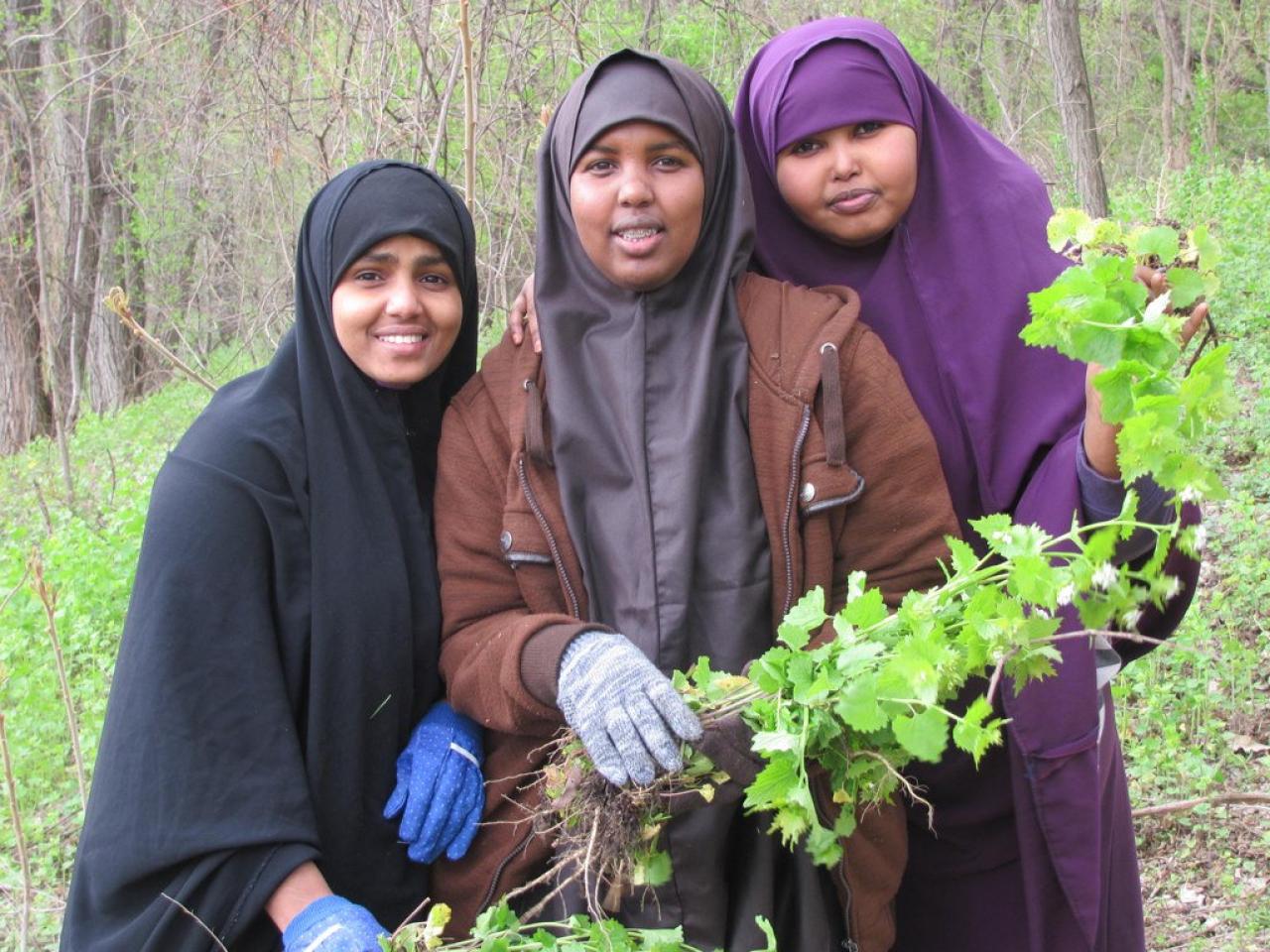 Volunteers removing garlic mustard Volunteers removing garlic mustard