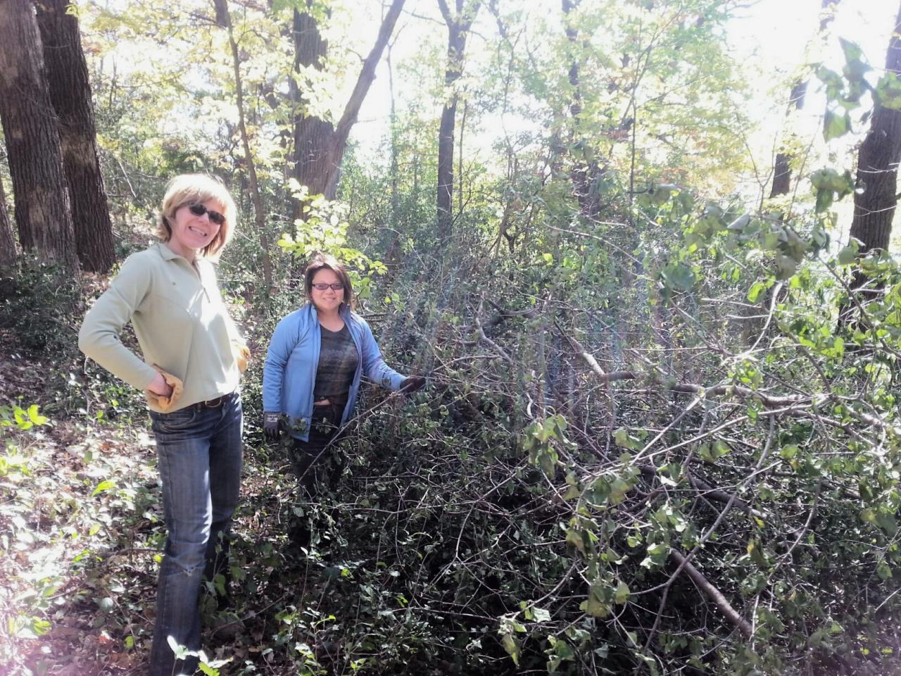 Brush haul volunteers at 3M Cottage Grove Brush haul volunteers at 3M Cottage Grove