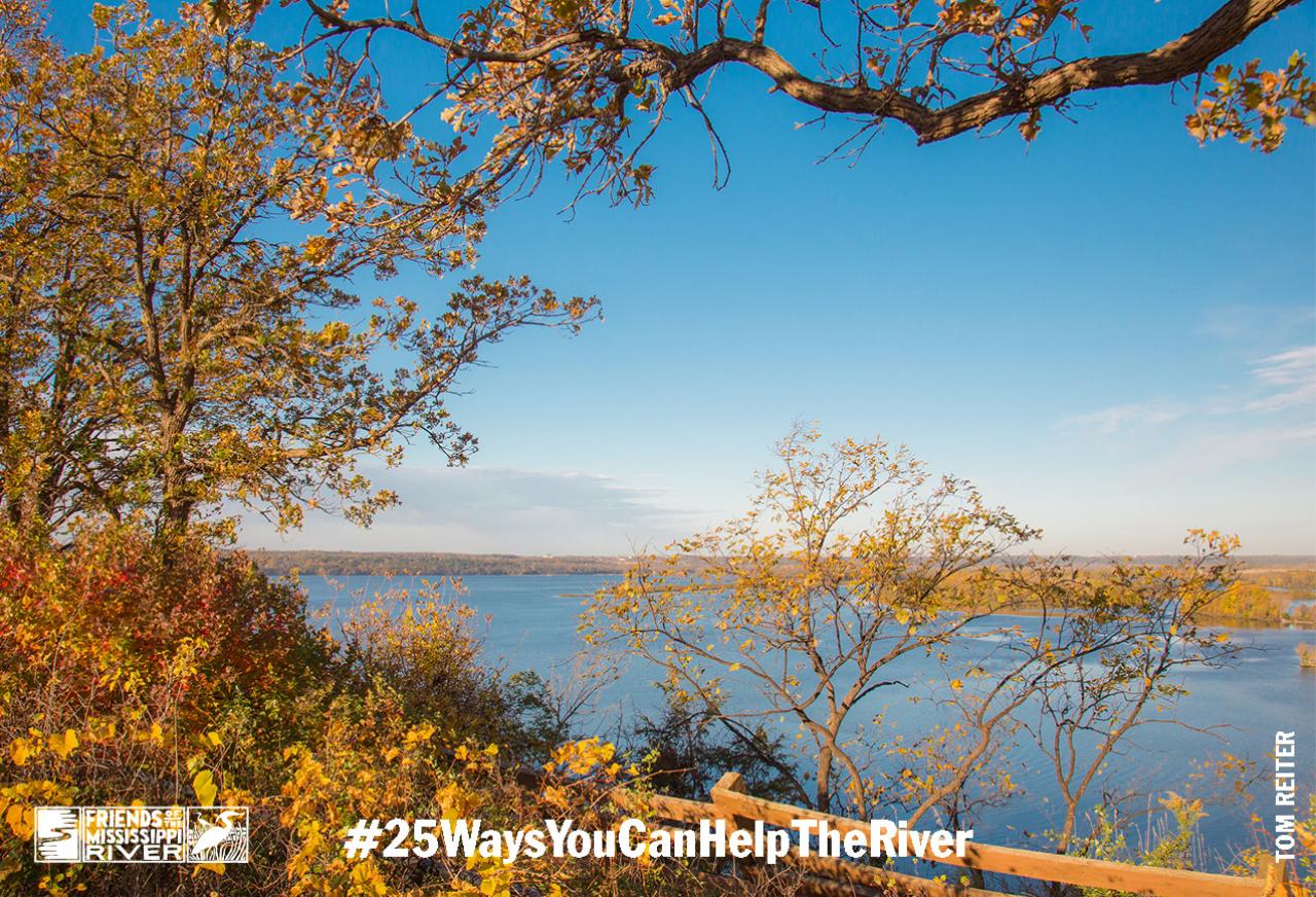 River scene #25waysyoucanhelptheriver