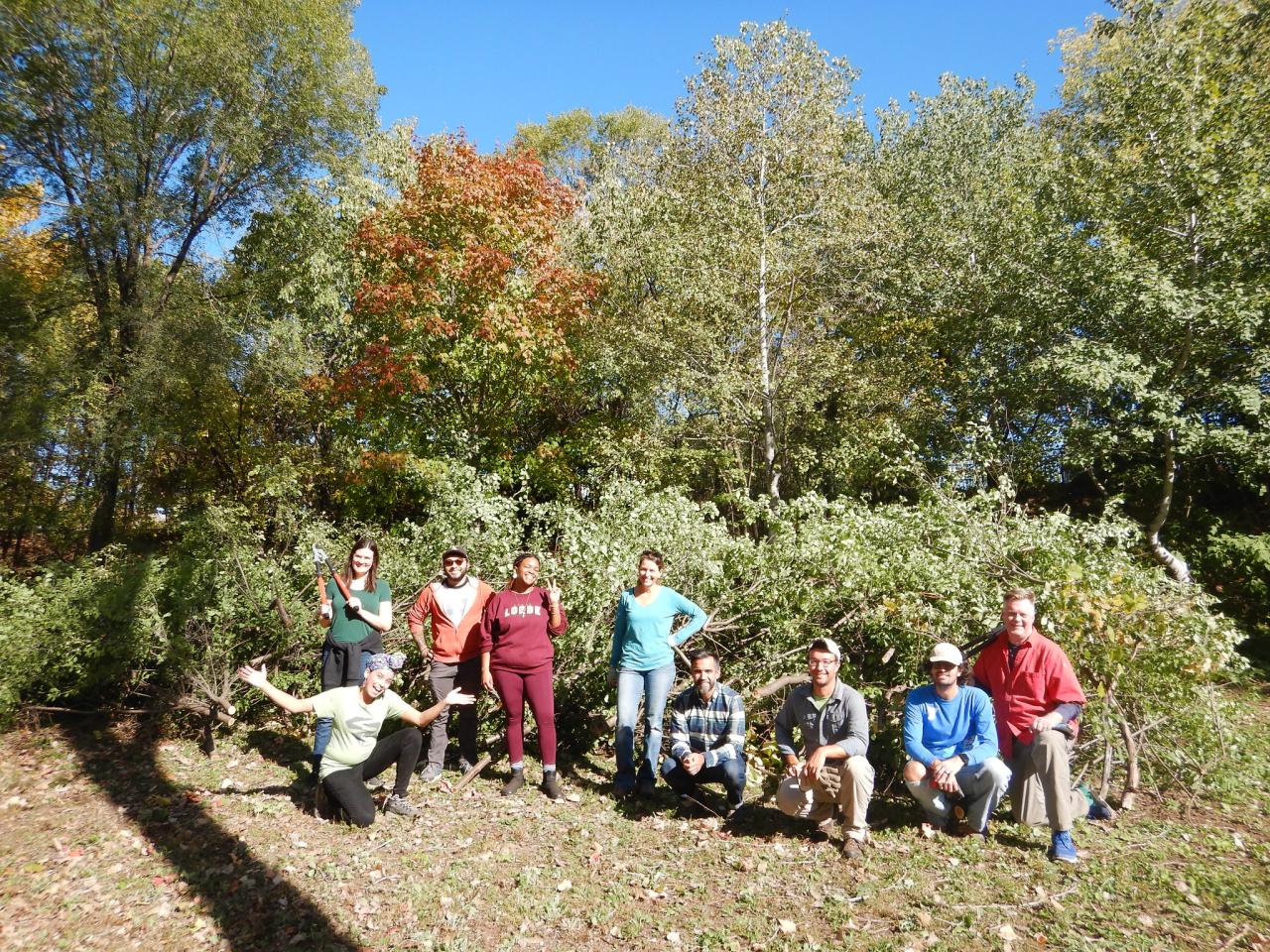 Volunteers with buckthorn at BF Nelson MN Opera volunteer group with bcukthorn at BF Nelson