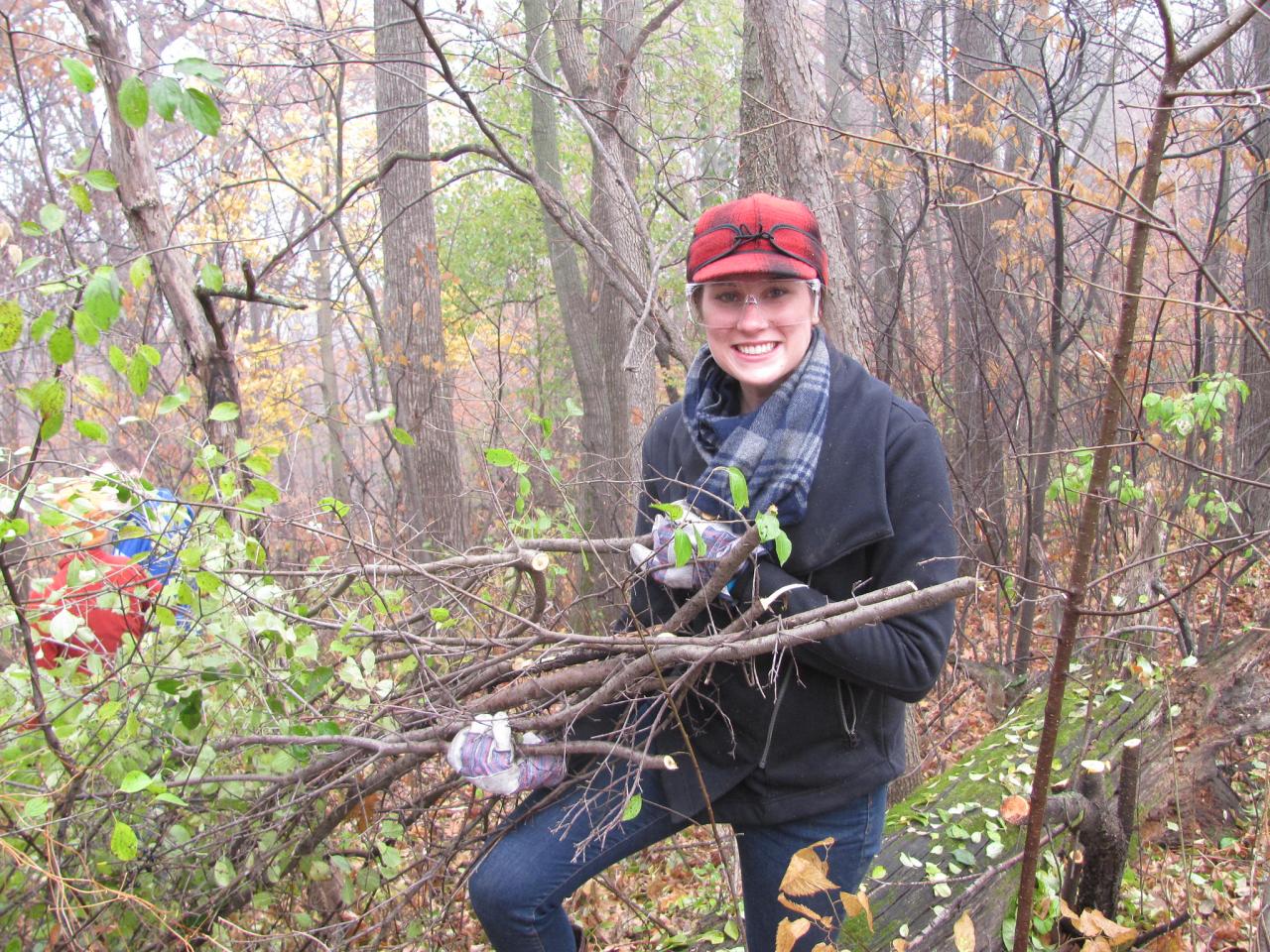 Volunteer hauling buckthorn Volunteer hauling buckthorn