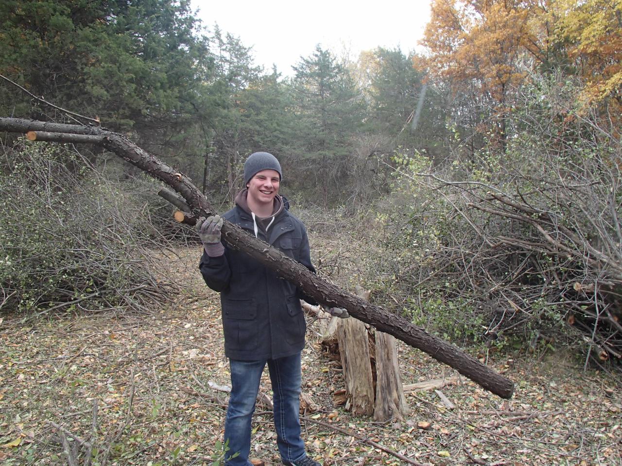 Buckthorn volunteer Buckthorn volunteer