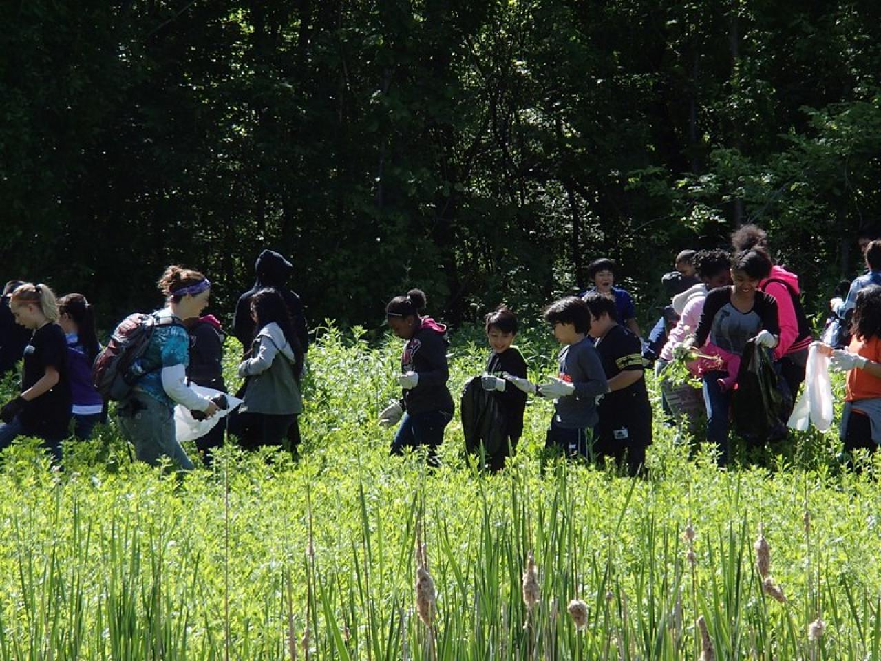 Students help keep wetland healthy Students work at Phalen wetlands to help keep it healthy