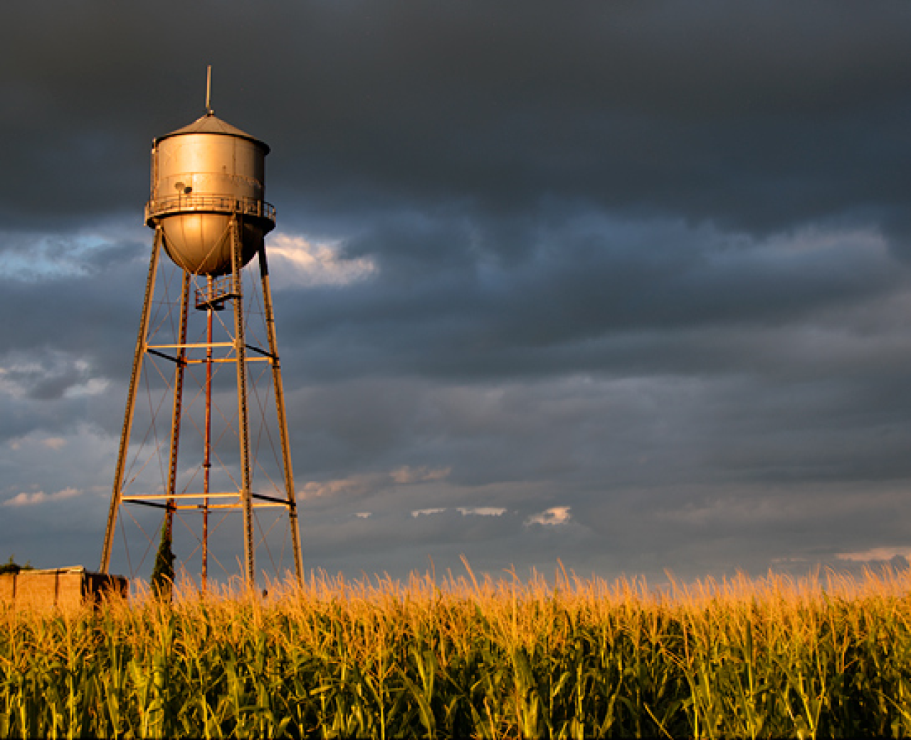 Row crops and water tower by Weekly Grist row crops and water tower