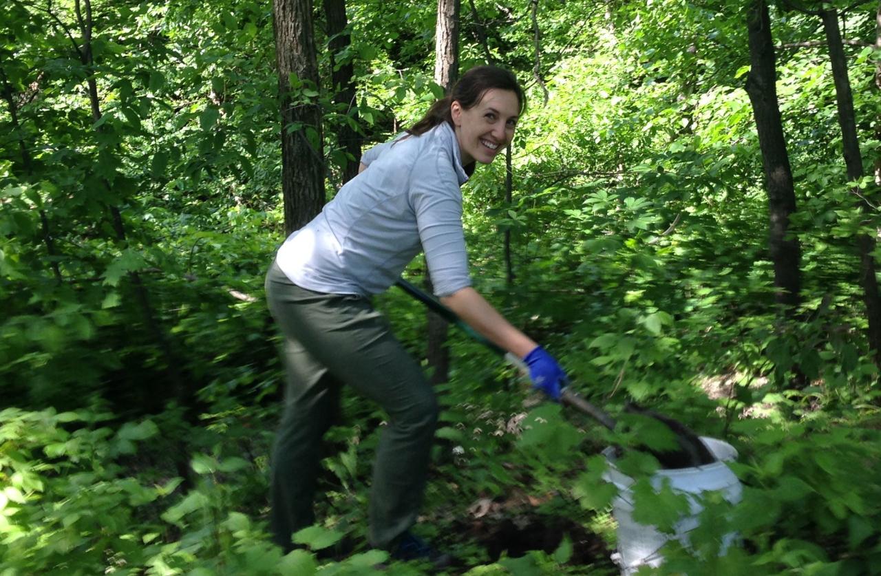 Volunteer planting native shrubs in the oak savanna woodland along the Mighty Mississippi in south Minneapolis.