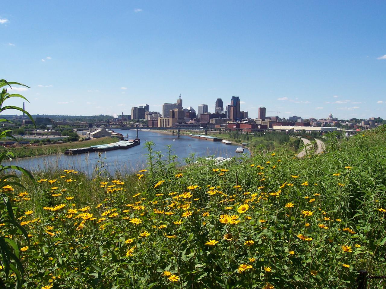 Native prairie installed by volunteers at Indian Mounds Park Native prairie installed by volunteers at Indian Mounds Park