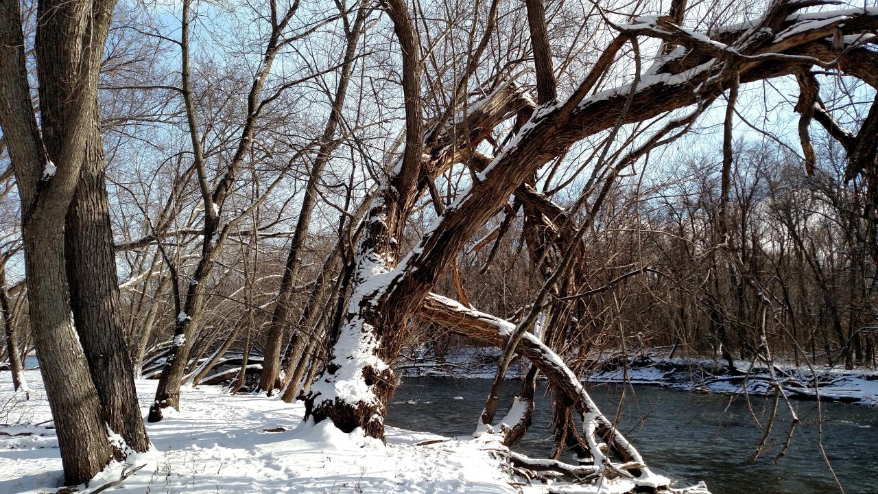 Winter river landscape at Houlton Farm Winter river landscape at Houlton Farm