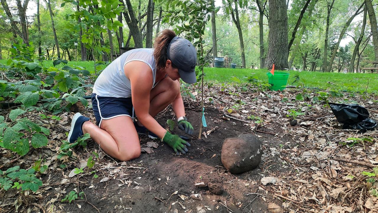 Volunteer at James Rice Park Volunteer plants a tree at James Rice Park