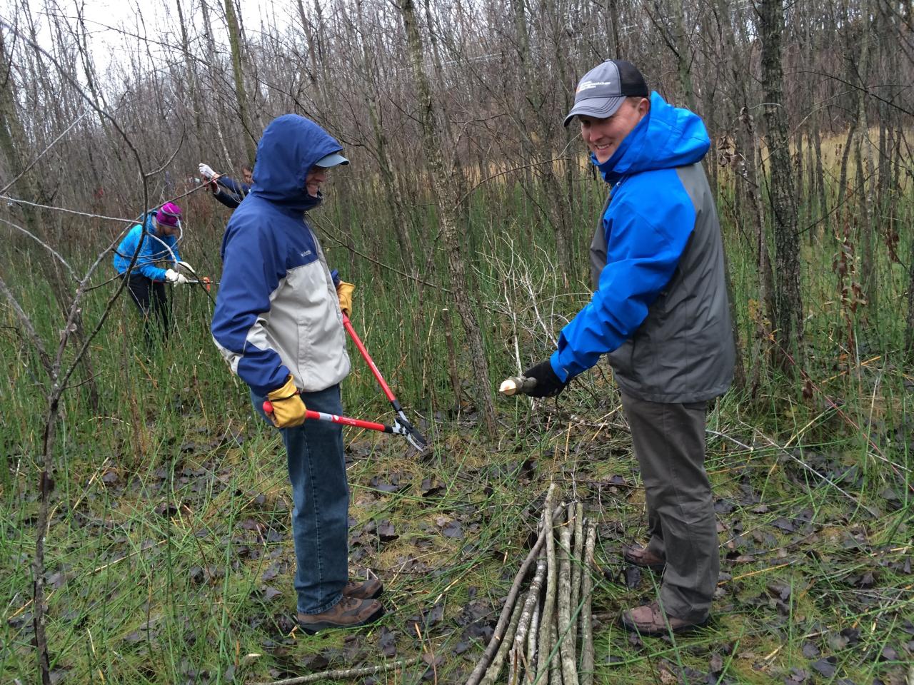 Dogwood Livestaking