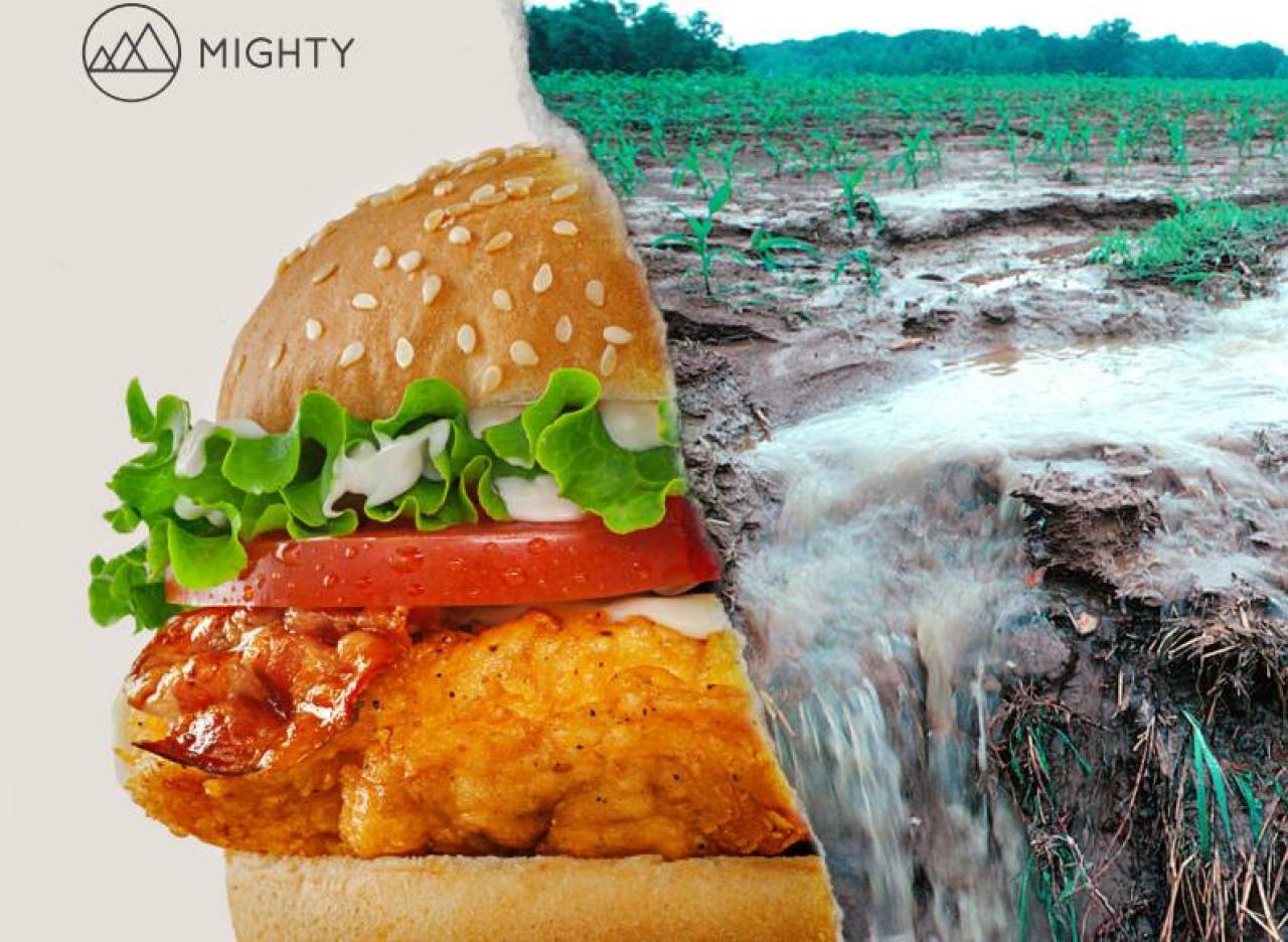 Learn about the connection. Meat on one side, ag runoff on the other