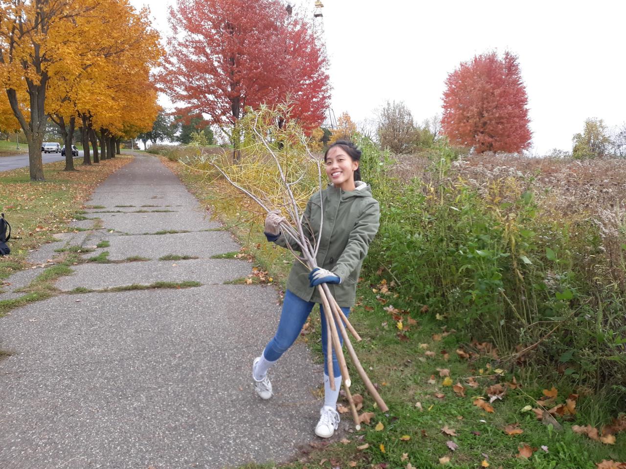 Mounds Park tending A student from Harding High Earth Club at the prairie at Mounds Park