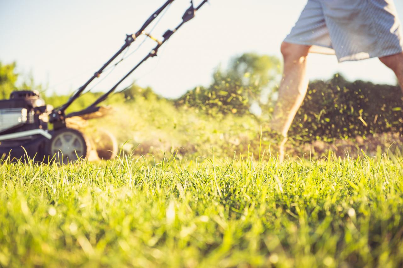 Bagless mowing lawn care Bagless mowing lawn care