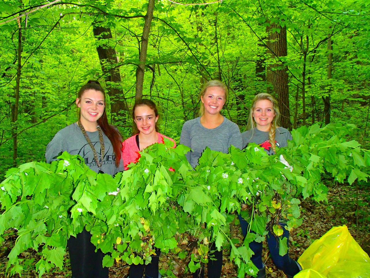 Volunteers holding garlic mustard at the Sand Flats Volunteers holding garlic mustard at the Sand Flats
