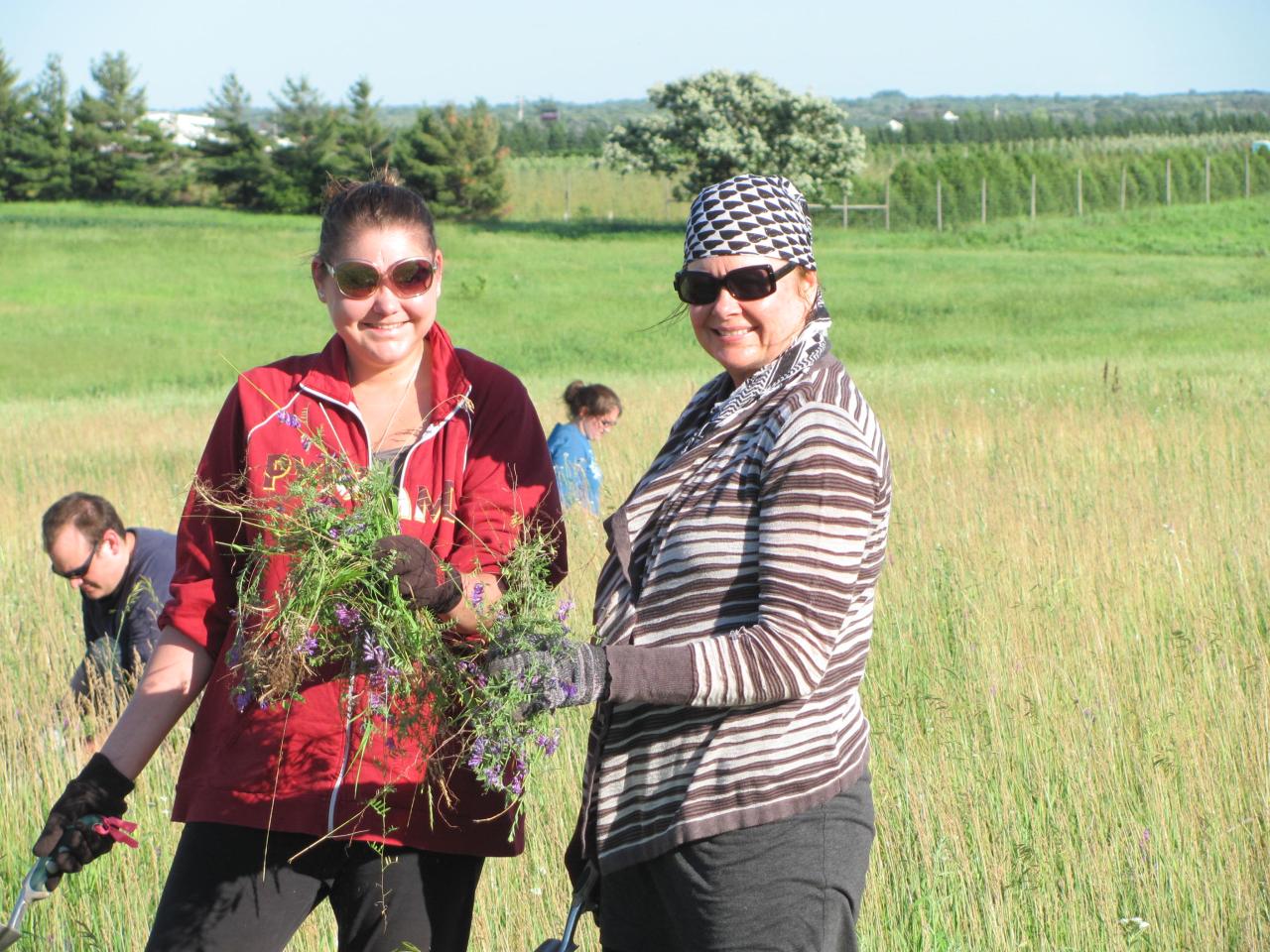 Volunteers tending the rare prairie at the Sand Coulee SNA Volunteers tending the rare prairie at the Sand Coulee SNA