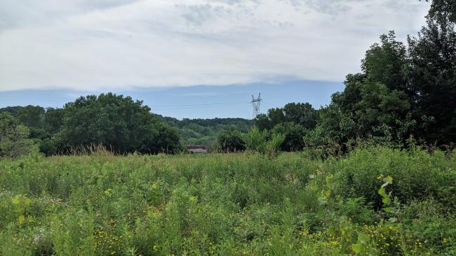 A vacant field with the Mississippi River in the background.